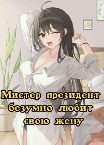 Ранобэ «Мистер президент безумно любит свою жену» — обложка