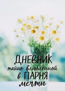 Ранобэ «Дневник тайно влюбленной в парня мечты» — обложка