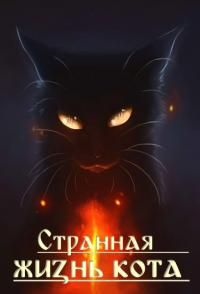 Странная жизнь кота
