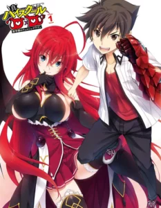 Истинная старшая школа DxD
